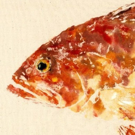 Society6 ケース Fishes In Geometrics (Red) Red Grouper - Gyotaku Fish Rubbing - Limited Edition Print