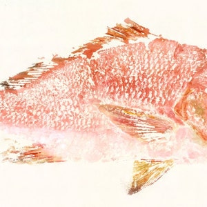 Red Snapper Rosy Gyotaku Fish Rubbing Limited Edition Print 32 x 15.5 image 2
