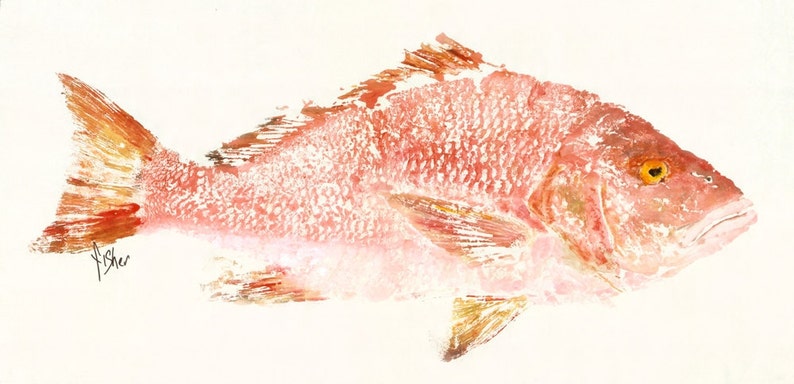 Red Snapper Rosy Gyotaku Fish Rubbing Limited Edition Print 32 x 15.5 image 2