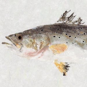 Spotted Seatrout Gyotaku Fish Rubbing Limited Edition Print 20.25 x 8.75 image 1