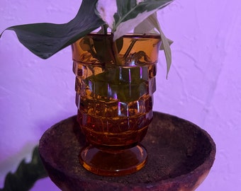 Orange Vintage Glass Propagation Station with Cuttings Included (3-4 Philodendron or Pothos Cuttings per Glass)