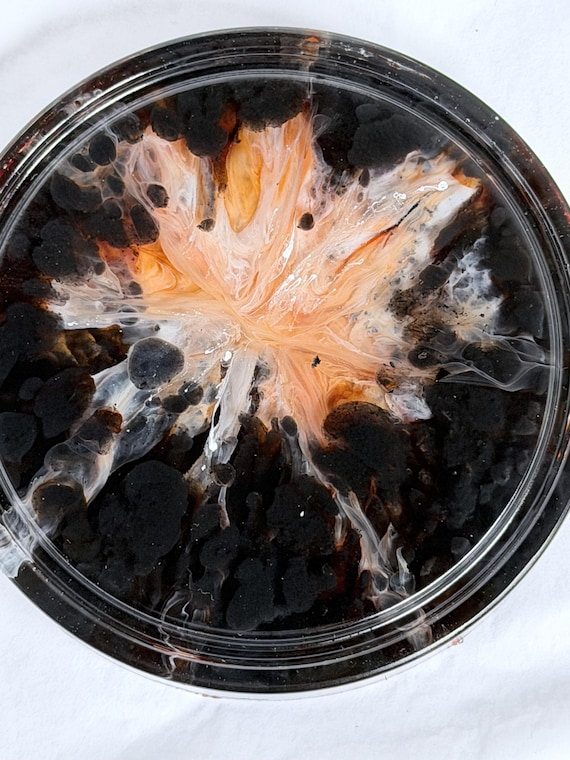 One of a Kind Resin Coasters