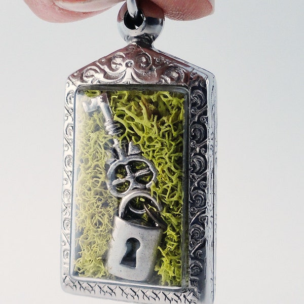 The Key To My Heart, Terrarium Locket Necklace, Mini Curio Display, Natural World, Lock and  Skeleton Key