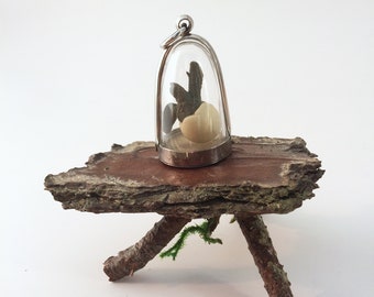 Hatching Sea Turtle Terrarium Locket Necklace,  Mini Curio Display, Natural World