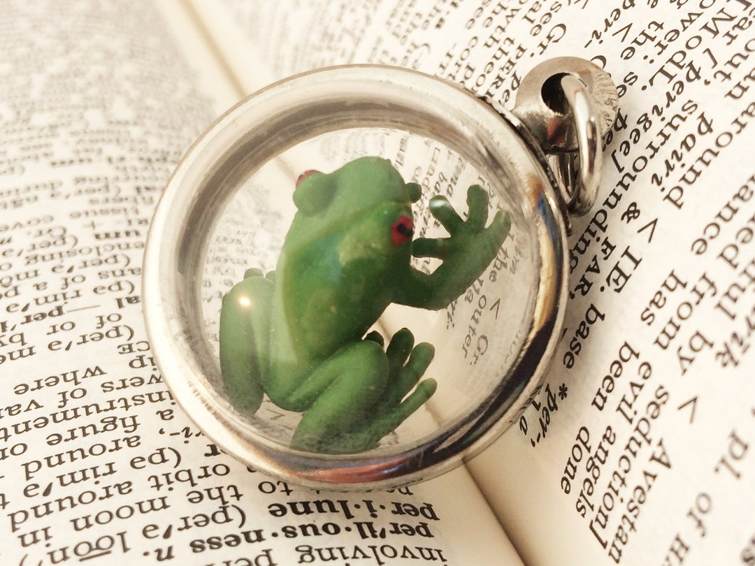 Succubus Curiosities Tree Frog In Frame