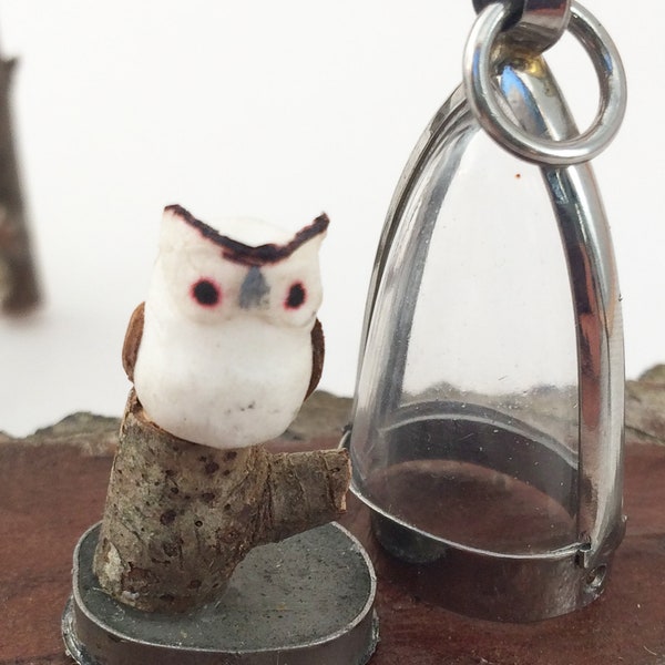 Tufted Owl Terrarium Locket Necklace,  Mini Curio Display, Natural World