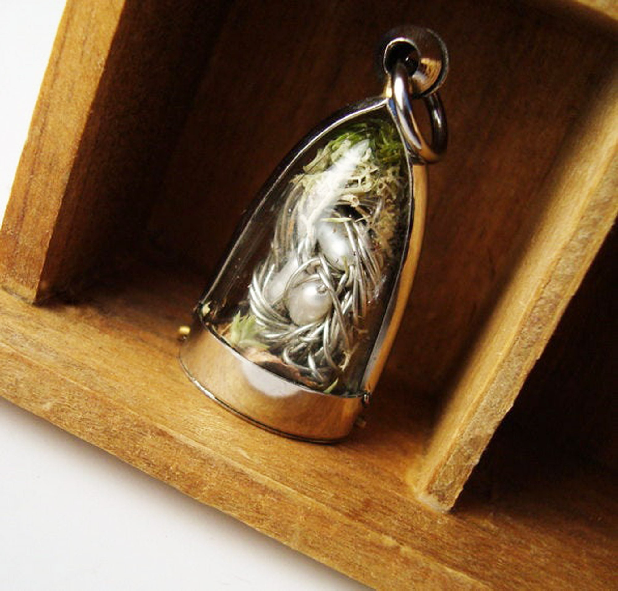 Terrarium Necklace,Hummingbird Nest Terrarium, Domed Mini Curio Display, Mom Gift, Natural World, Apothecary, Wire