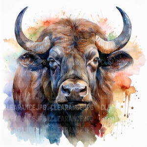 8 Buffalo Clipart, Bison Clip Art, Printable Watercolor clipart, High Quality JPGs, Digital download, Paper craft, junk journal
