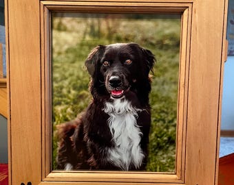 May include: Wooden picture frame with a photo of a black and white dog. The frame is light brown with paw print cutouts in each corner. The dog's name, "Ollie", is carved into the bottom of the frame.