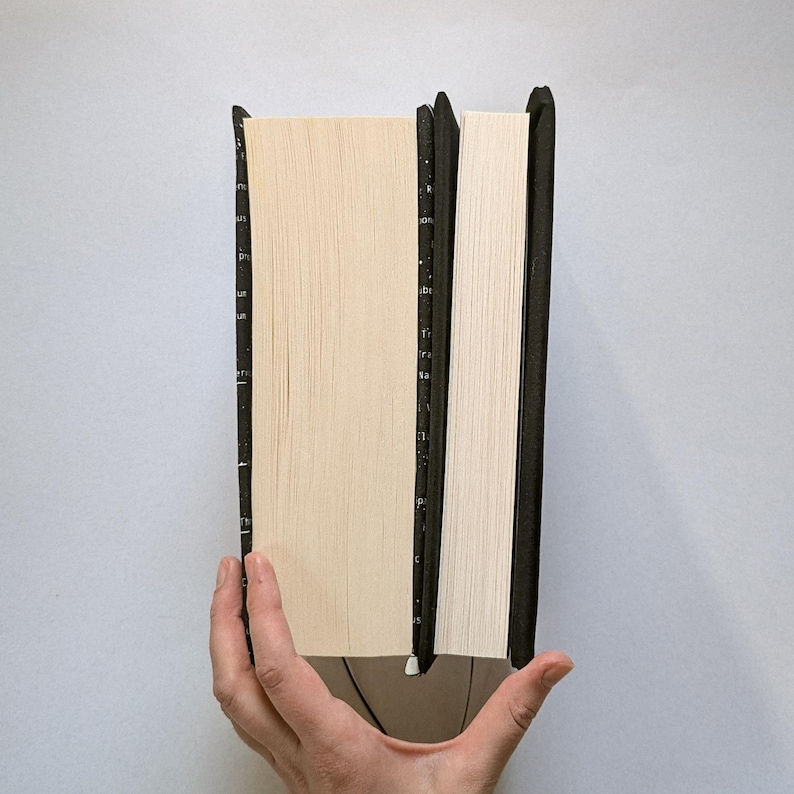 May include: Two hardcover books with black spines and off-white pages are held upright. The books are side-by-side, with the pages facing the viewer. The spines have white text. The books are held by a hand against a white background.