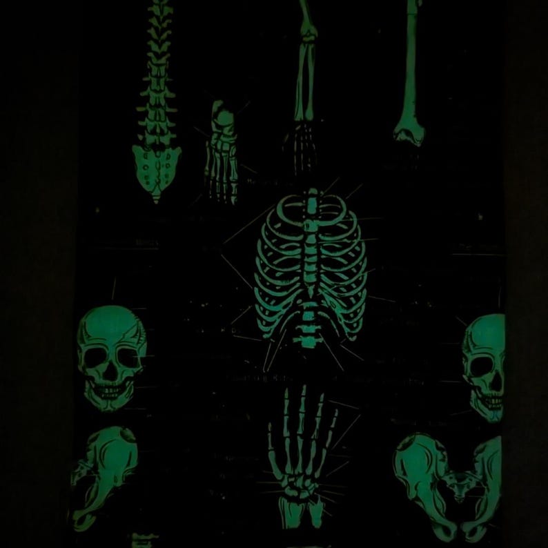 May include: A black and green glow-in-the-dark print featuring detailed illustrations of human skeletal anatomy. The design includes the spine, skull, rib cage, and various bones, creating a spooky and educational theme.