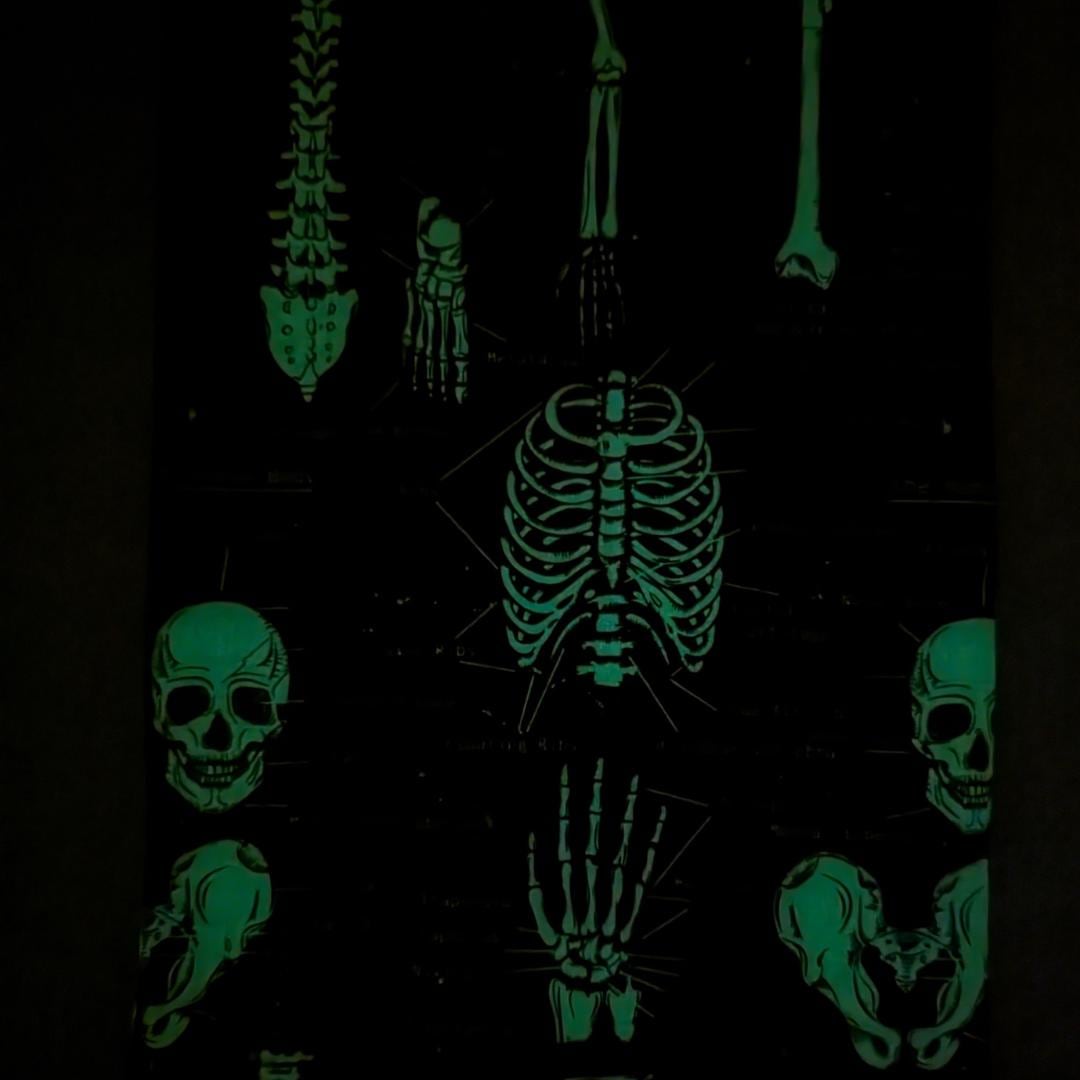 Book Sleeve Dark Academia, Skeleton Booksleeve, Anatomy Book Protector, Large Book Pouch, Padded Kindle Sleeve, Halloween Book Cover
