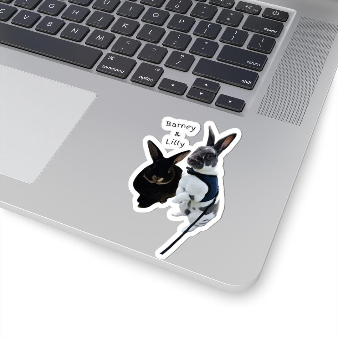 Spoiled_bunny_day Stickers, Barney and Lilly Sticker, Youtubes Sticker ...