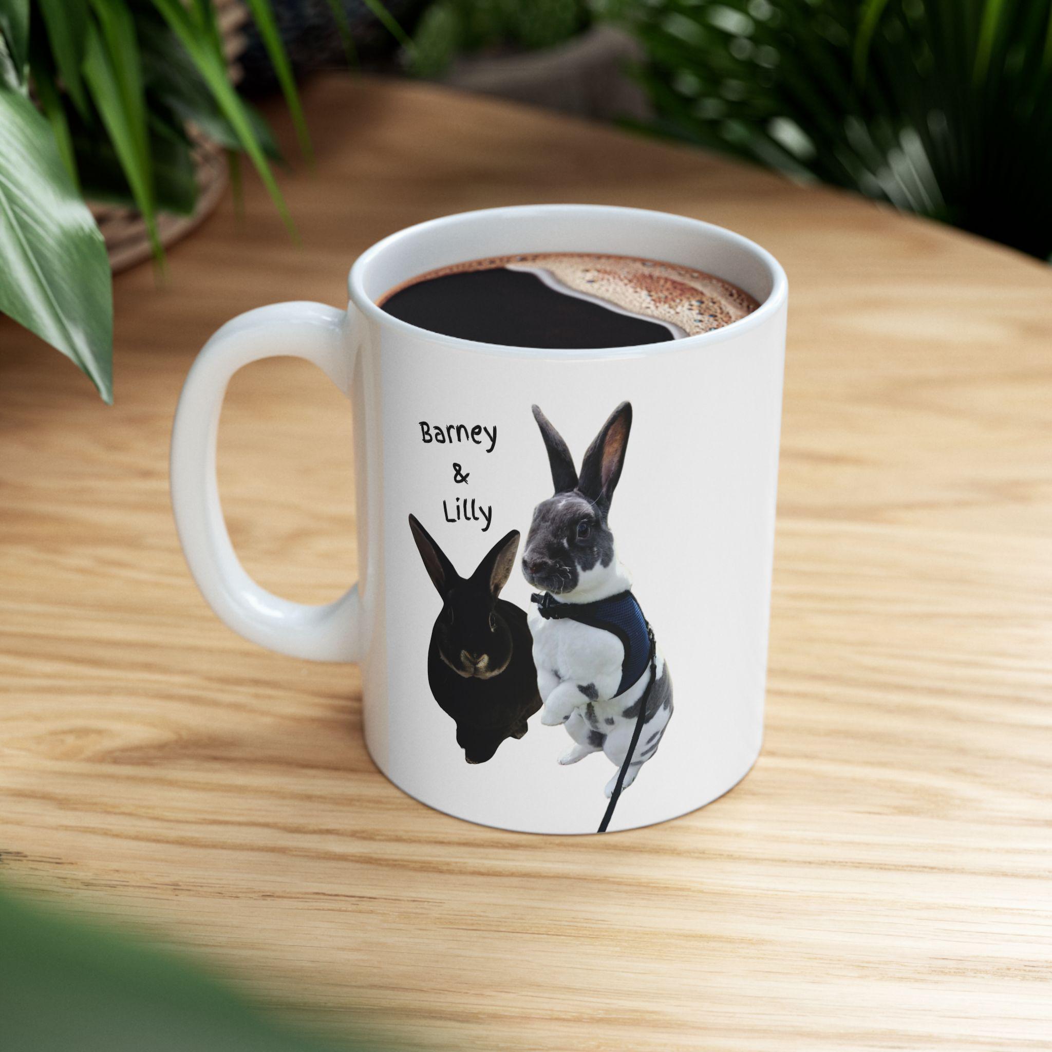 Barney & Lilly Ceramic Mug, YouTube Funny Coffee Cup, Spoiled Bunny Day Gift, 11oz 15oz Novelty Tea Mug, Cute Rabbit Lover Present, Bunny