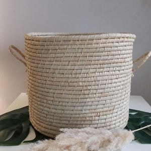 Può includere: Un grande cesto rotondo, intrecciato in modo naturale con due manici. Il cesto è fatto di fibre naturali di colore marrone chiaro e presenta un motivo intrecciato. Il cesto è appoggiato su una superficie bianca con una foglia verde e una pianta bianca e soffice.