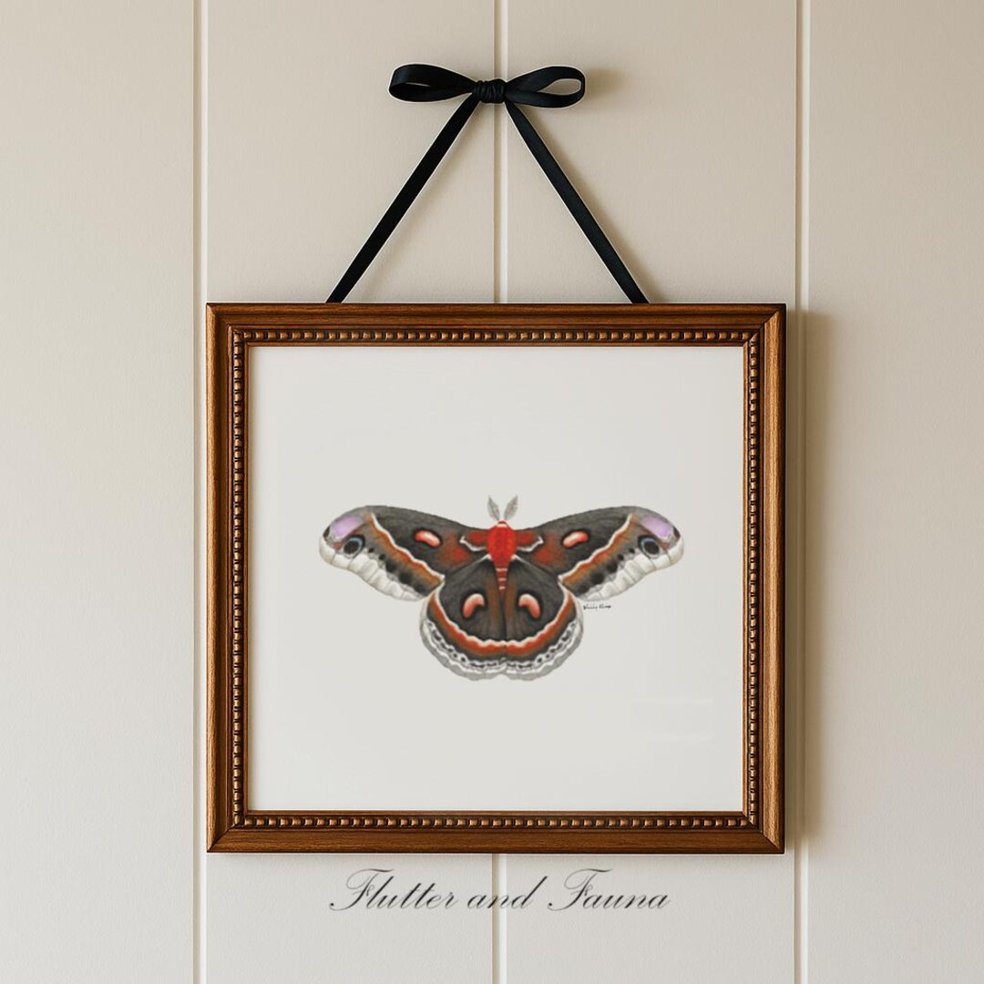 Cecropia Moth Print, Illustrated Moth Print, Watercolor Wall Art ...