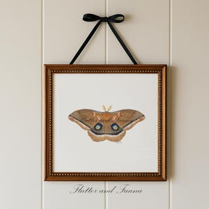 May include: A framed print featuring a detailed watercolor illustration of a moth with brown and tan wings, accented with blue and yellow details. The artwork is displayed in a gold-toned frame and suspended by a black ribbon. The text "Flutter and Fauna" is below the image.