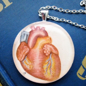 Be Still My Heart Anatomy Vintage Children's Health/Biology Textbook Illustration Pendant image 5