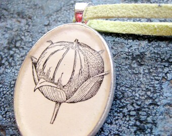Fruit Pod Vintage 1918 Botany Textbook Illustration set under Resin in Silver plated Oval Pendant with Lime yellow/Chartreuse Suede necklace