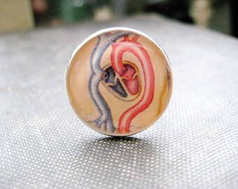 Vintage 1953 Children's Textbook Heart Diagram Illustration set under Resin in a Silver Ring