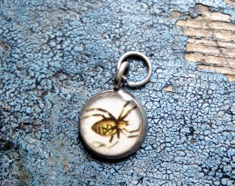 Spider Illustration Charm from Vintage Textbook