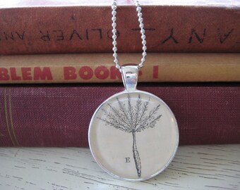 Silver Willow Wisp Pendant vintage 1920 Botany Textbook