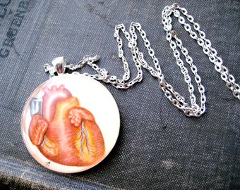 Be Still My Heart Anatomy Vintage Children's Health/Biology Textbook Illustration Pendant