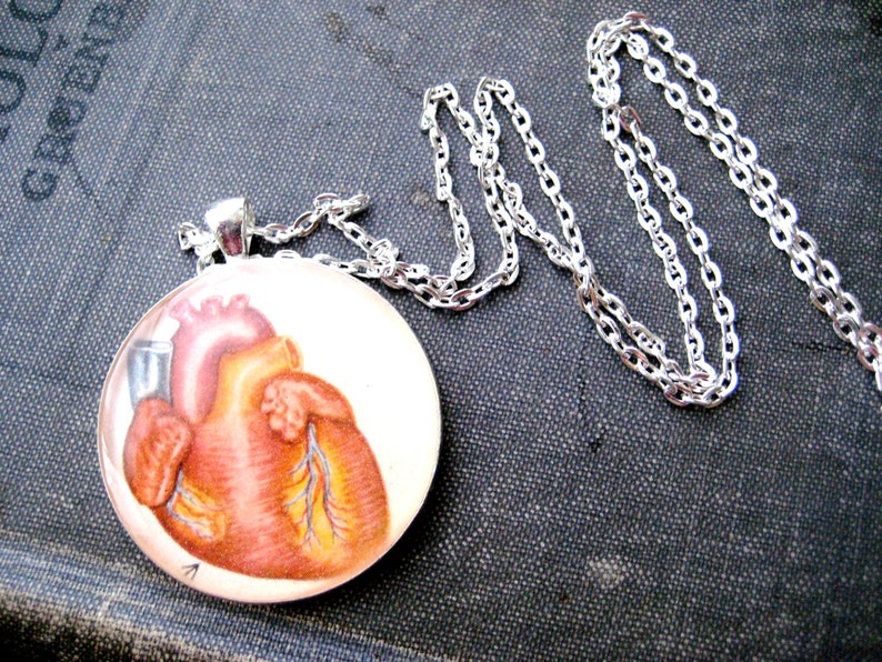 Be Still My Heart Anatomy Vintage Children's Health/Biology Textbook Illustration Pendant image 1