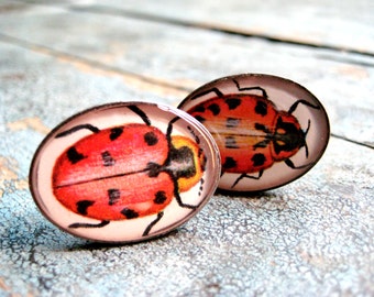 LadyBird Beetle Antique Silver Vintage Textbook Illustration Cuff Links