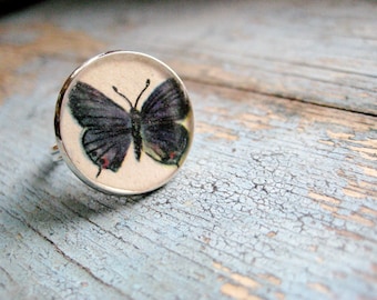 Purple Butterfly Vintage 1960 Children's Textbook Illustration set under Resin in a Silver Ring