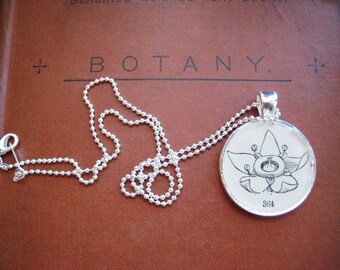 Vintage Flower Anatomy Pendant: 1896 Botany Illustration Necklace