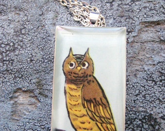 May include: A silver chain necklace with a rectangular glass pendant featuring a vintage illustration of a brown and yellow owl with large eyes.