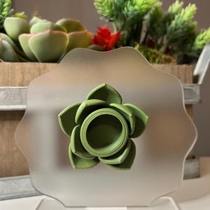 Succulent Jumping Spider Hide