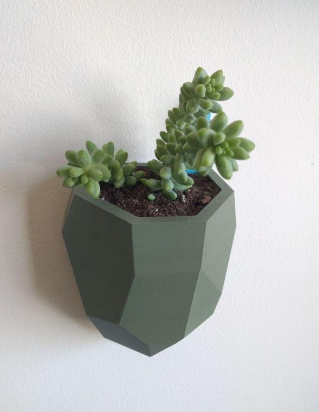 Geometric Wall Planter | 3D Printed Wall-mounted Succulent Pot ...
