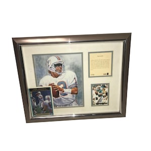 Dan Marino - Back In Stride - Team NFL Collectible collage limited edition Framed & Matted Sports Collectible