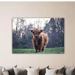 Scottish Cow Wall Art Animal Canvas Cow Print Highland Cow Wall Decor Kids Room Decor Cow Wall Art Cow Poster Gift Of Home Decor Cow Paint
