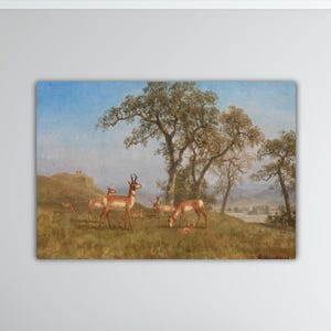 Albert Bierstadt Grazing Antelope Canvas Albert Bierstadt Wall Art Bierstadt Painting Ready To Hang Canvas Bierstadt Poster Home Wall Decor