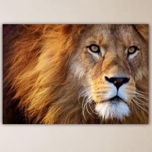 Lion Wall Art Animal Canvas Lion Printing Framed Wall Decor Kids Room Decor Art Lion Wall Art Lion Poster Gift Of Home Decor Lion Painting