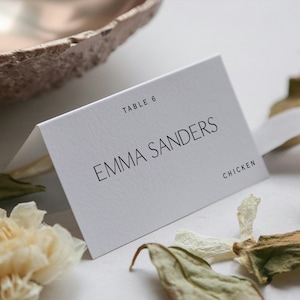 Printed Personalized Wedding Place Cards With Meal Choice | Table Name Cards | Custom Place Cards | Table Name Cards | Seating Cards