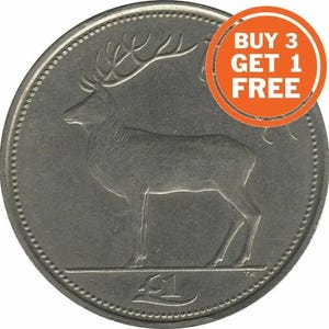 Ierland one pound 1 punt Irish erir datumkeuze 1990-2000