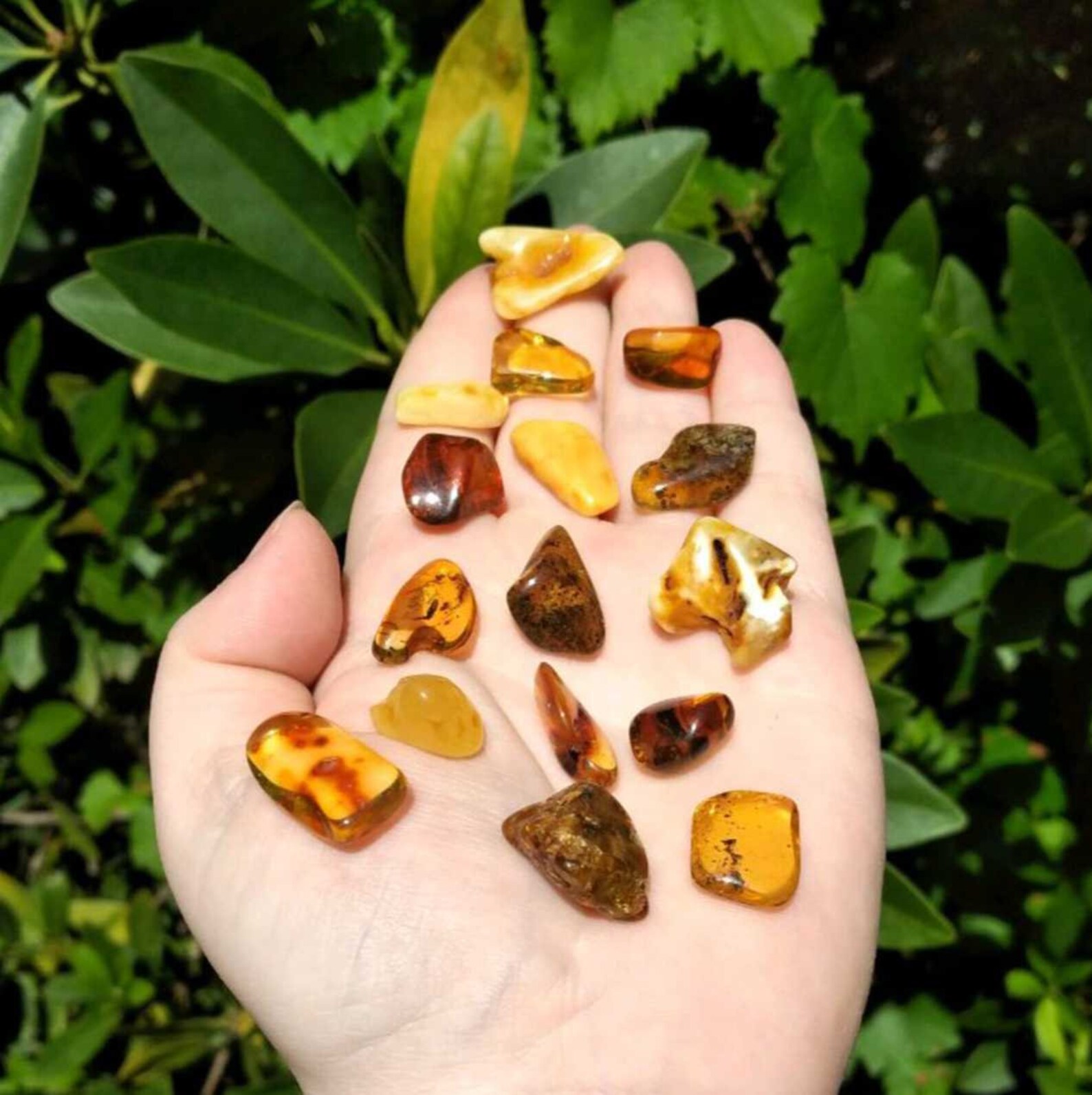 Amber Natural Fossilized Tree Sap Tumbled Freeform - Etsy Canada