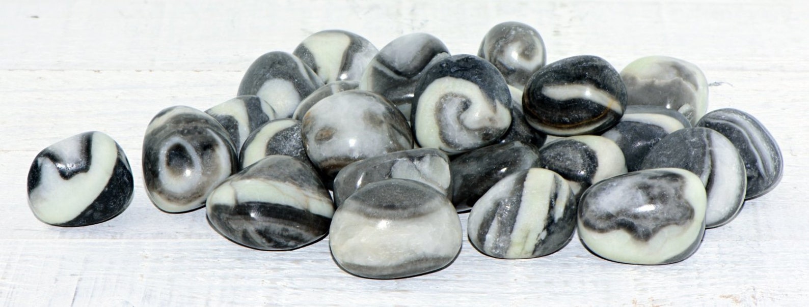 Clam Shell Jasper Tumbled Polished Gemstone Etsy