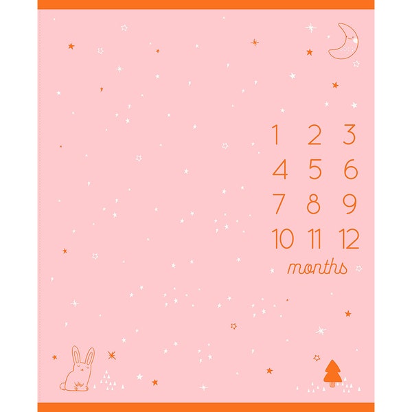 Ruby Star Society - Birthday Collection - Milestone Panel in Cotton Candy