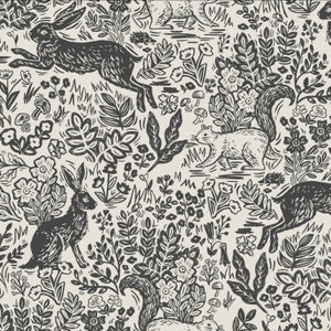 Rifle Paper Co. - Wildwood Collection - Favola in crema
