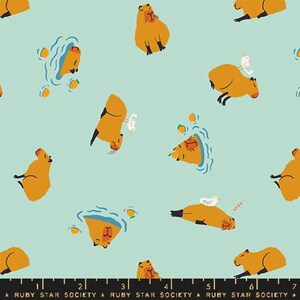 Ruby Star Society - Animal Animal Collection - Capybara in Minty