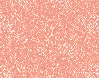 Rifle Paper Co. - Basics Collection - Menagerie Champagne in Coral