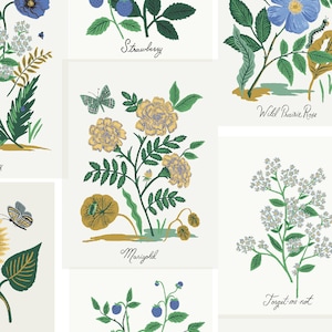Rifle Paper Co. - Collezione Curio - Stampe botaniche su TELA in Blu Multi