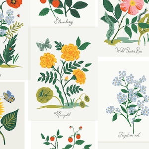 Rifle Paper Co. - Collezione Curio - Stampe Botaniche su TELA in Rosa Multi
