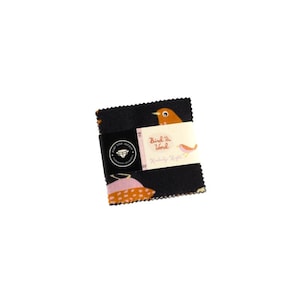 Ruby Star Society - Bird is the Word Collection - 42 piece 2.5&quot; x 2.5&quot; Mini Square Charm Pack