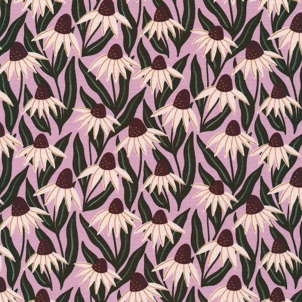 Cloud 9 Fabrics - Blooming Revelry Collection - Coneflowers in Violet Organic